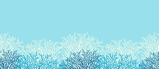 podwodne morze życia ocean banner tle z niebieską rafą koralową - underwater abstract coral seaweed stock illustrations