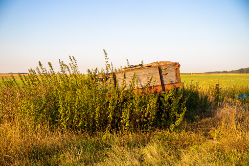 old tractor trailer that is rusting and overgrown with plants