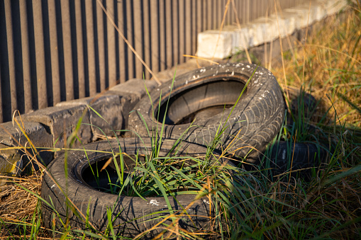 old tires left behind and overgrown with grass