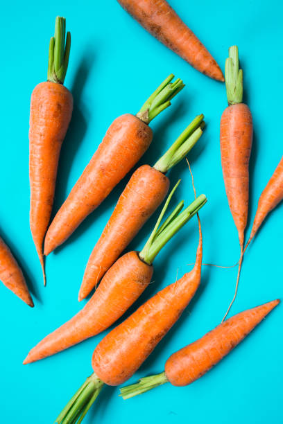istock several fresh carrots lie in a row on a blue background. 1199509320