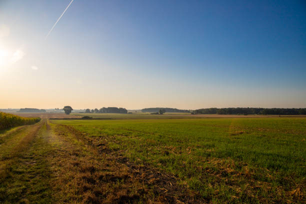 istock Dirt road with embankment, trees, bright blue sky and small clouds 1199509476