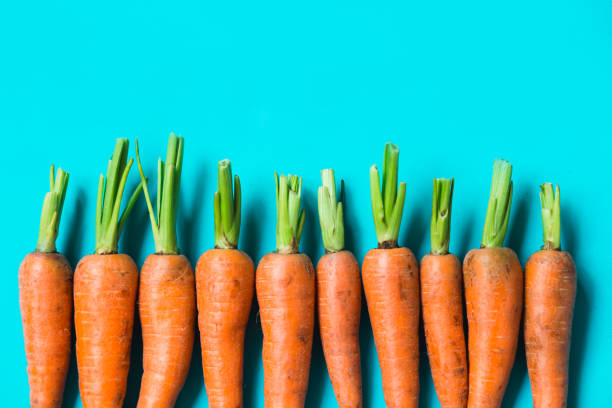 istock several fresh carrots lie in a row on a blue background. 1199509707