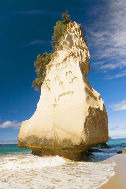 formaciones rocosas de piedra caliza blanca y playa de arena fina en cathedral cove en la península de coromandel en nueva zelanda, isla norte. - new zealand cathedral cove sea sand fotografías e imágenes de stock