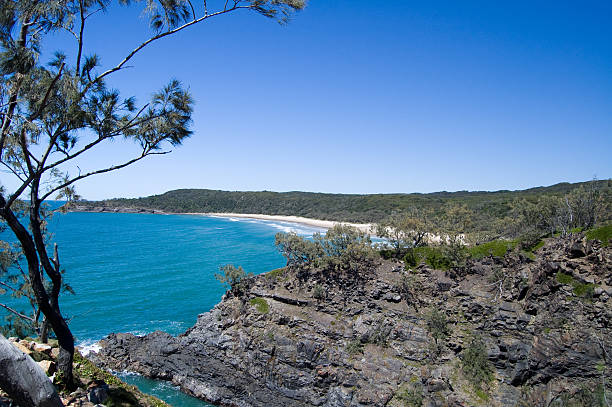 istock Tropical bay and sandy beach, under blue sky 119951236