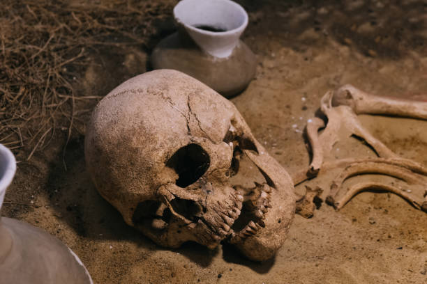 istock Archaeological site, a old human skull in ancient tomb 1199515588