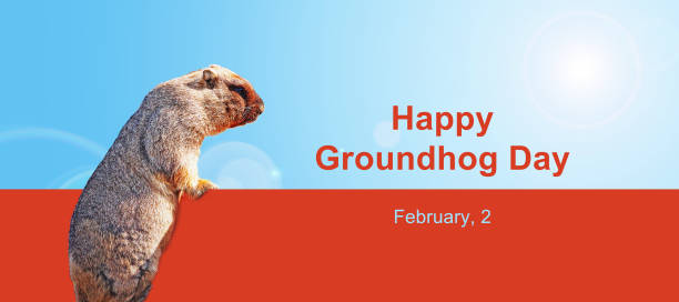 Happy Groundhog Day, february, 2. Fortune telling about the weather in spring.  Cute groundhog Happy Groundhog Day, february, 2. Fortune telling about the weather in spring.  Cute groundhog animal den photos stock pictures, royalty-free photos & images