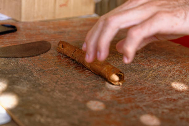istock Making a cuban cigar in Viniales - Cuba 1199523878