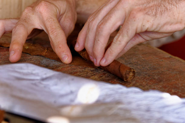 istock Making a cuban cigar in Viniales - Cuba 1199523879