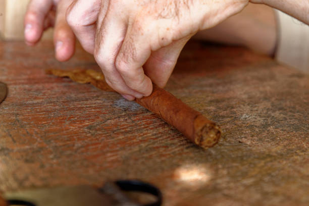 istock Making a cuban cigar in Viniales - Cuba 1199523888