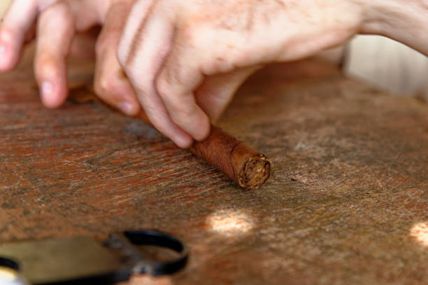 istock Making a cuban cigar in Viniales - Cuba 1199523892