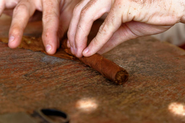 istock Making a cuban cigar in Viniales - Cuba 1199523893