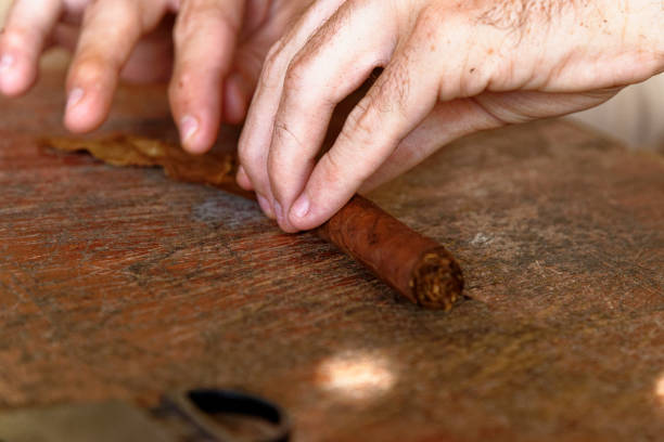 istock Making a cuban cigar in Viniales - Cuba 1199523896