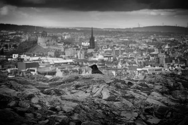 Raven atop Arthur’s Seat watches over Edinburgh. Edinburgh Castle and St Giles Cathedral in the background