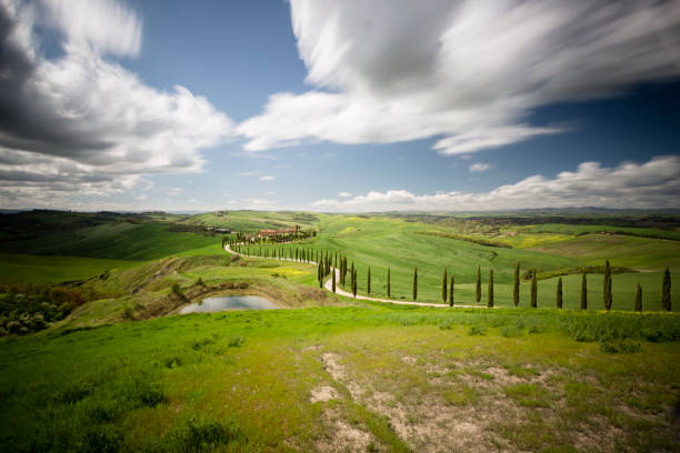 istock Hills in Tuscany (Italy) 1199528756