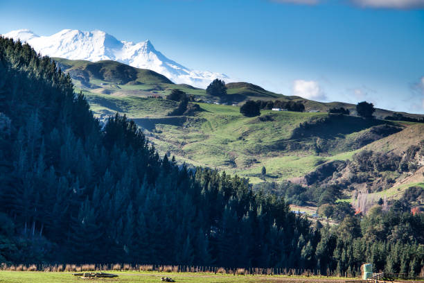 istock Mount Ruapehu peeking over the hills 1199531342