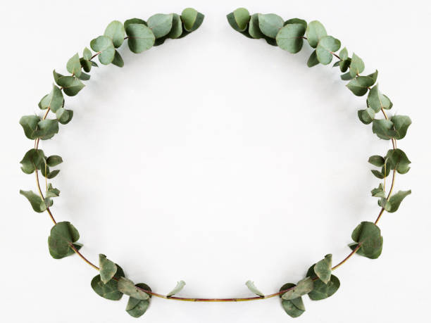 istock floral wreath natural decor green eucalyptus twig 1199536366