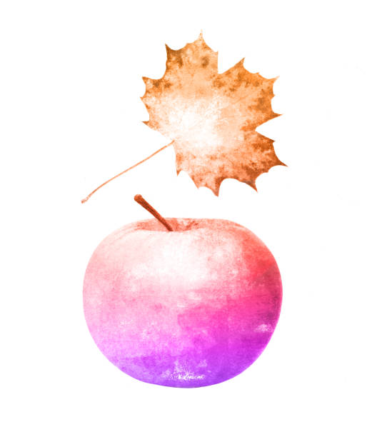 istock watercolor apple with maple leaf isolated on a white background. 1199536419