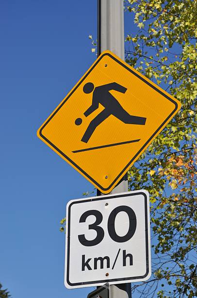 istock Isolated Pedestrian road sign 119953730
