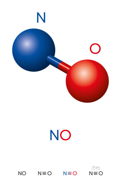 ilustraciones, imágenes clip art, dibujos animados e iconos de stock de óxido nítrico, no, modelo de molécula y fórmula química - nitric oxide