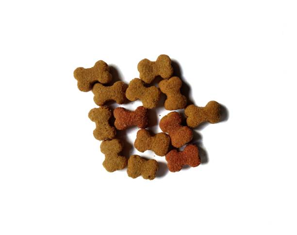 istock Dog croquettes on white background. pets concept 1199542776