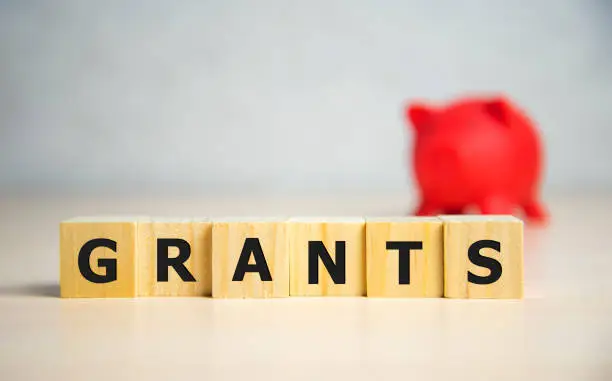 Photo of the word of GRANTS on building blocks concept