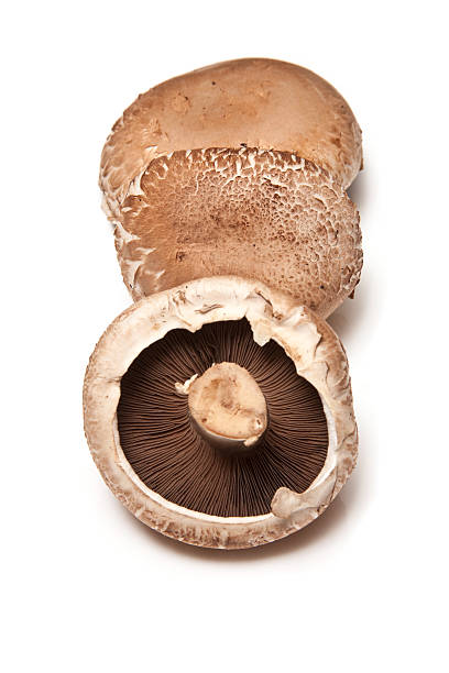 istock portobello mushrooms 119954562