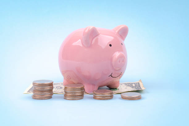 Stack of coins on piggy bank.