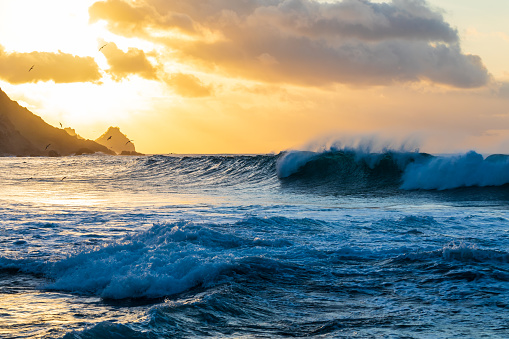 Powerful ocean waves erupting in early morning golden light with dramatic sky. Shot on the south east coast of Australia.