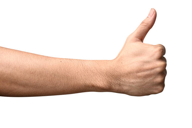 istock hand showing thumbs up sign 1199548326