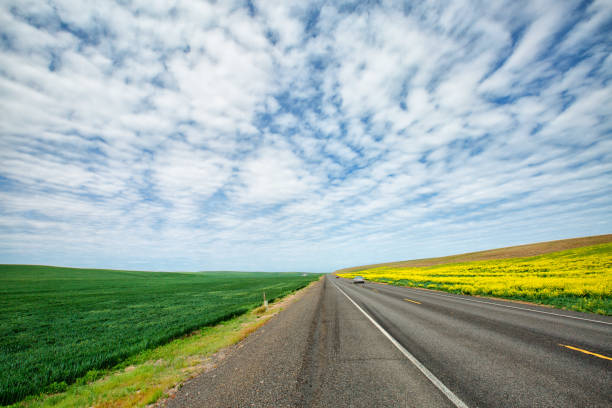 istock Country Road to Palouse 1199549292