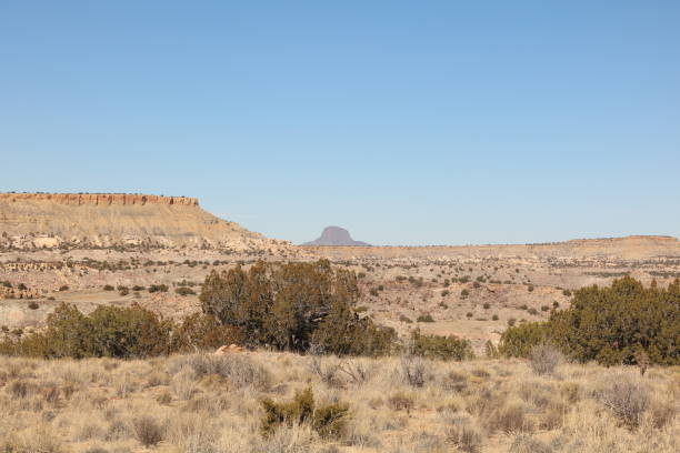 istock Ojito wilderness landscape 1199550262