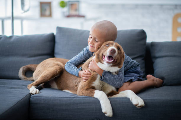 Boy With Cancer Hugging His Dog stock photo A young boy with cancer sits on a sofa with his favorite furry friend.  He has his arms wrapped around the dog and is giving him a big hug as he smiles and enjoys the snuggle. insurance pets dog doctor stock pictures, royalty-free photos & images