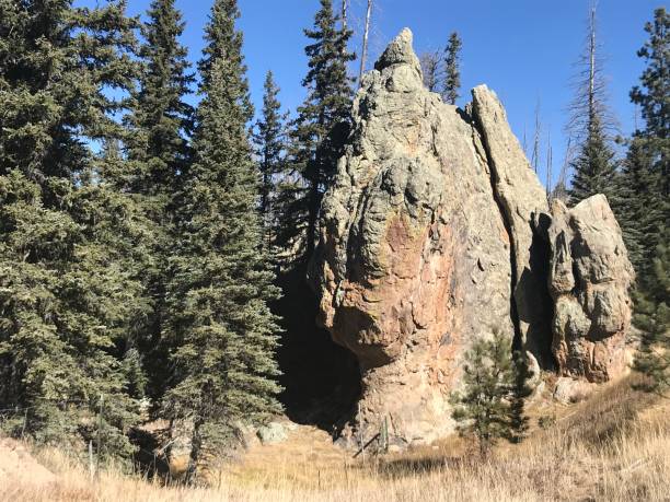 istock Wilderness in Jemez NM 1199552350