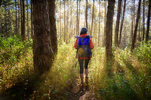 woman trekking walks to the deep of the forest jungle, explore the nature in holidays weekend