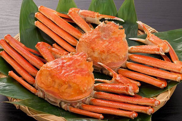 istock Orange crab with a bunch of little crabs between the two one 119957544