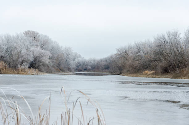 istock On the river bank on a winter day 1199580909