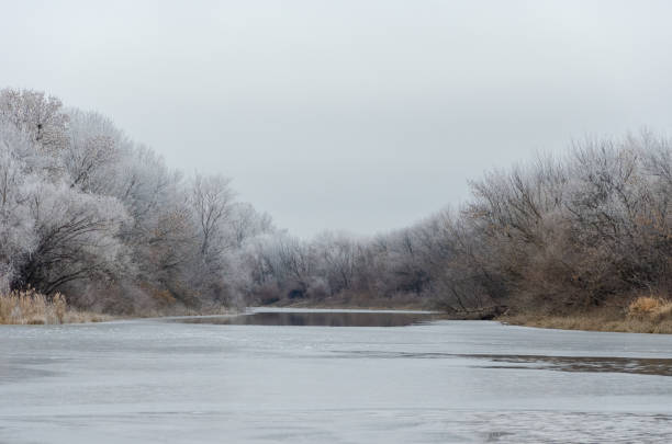 istock On the river bank on a winter day 1199582995