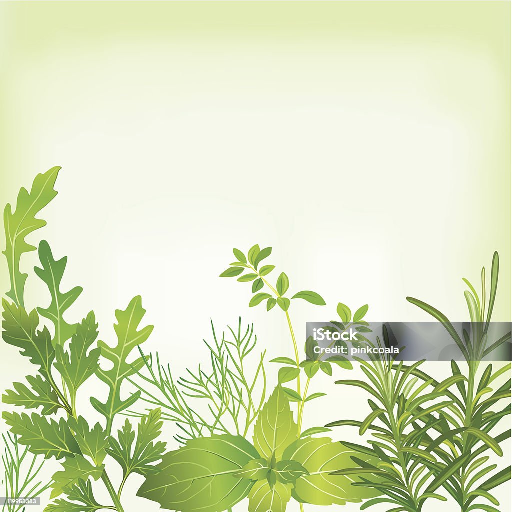 Cadre des herbes fraîches - clipart vectoriel de Aliment libre de droits