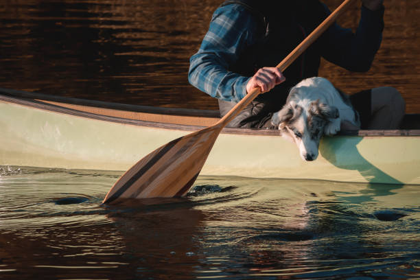 istock Man with dog in canoe 1199584185