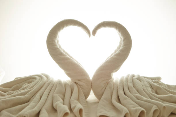 Swans made of towel