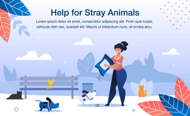 Help for Stray Animals Flat Vector Banner Template Welfare Volunteering, Help for Stray Animals Trendy Flat Vector Banner, Poster Template. Female Volunteer, African-American Woman Feeding, Care About Homeless Dogs and Cats in City Park Illustration person feeding cat stock illustrations