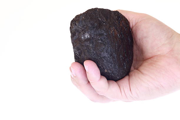 istock Pieces of coal in palm 119959861