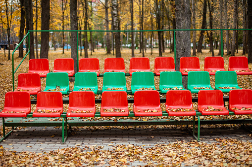 Empty sports grandstand in the leaves in the fall. Yellow leaves lie on a seat of a tribune. Plastic seats required are covered with tree foliage in the fall.