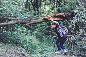 Young man hiking, exploring nature