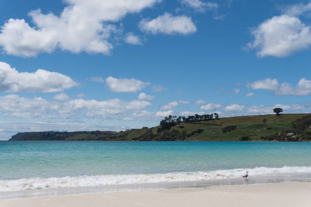 istock beach in Tasmania at midday 1199599876