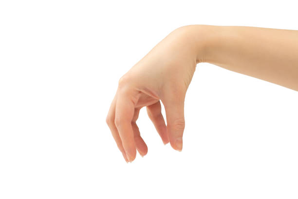 istock Hand of woman isolated on white 1199602016