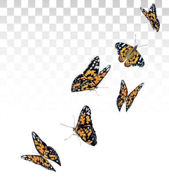 istock Orange beautiful flying butterflies isolated on transparent background. Butterflies in Motion. Vector illustration 1199602302