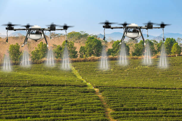istock Agriculture drone flying on the green tea plantations fields with morning dew drops. 1199607400