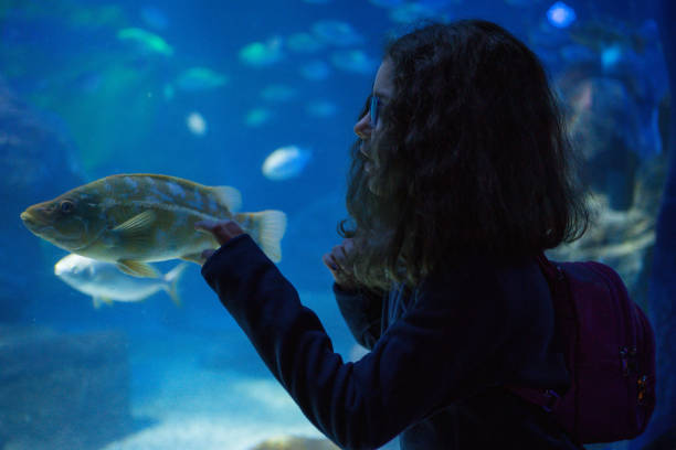 istock Little girl watching fish in aquarium 1199607777