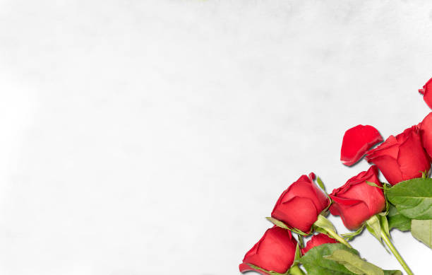 istock Red roses on the floor 1199610646